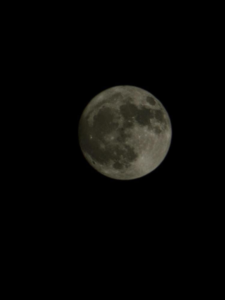 Foto 1 de 2