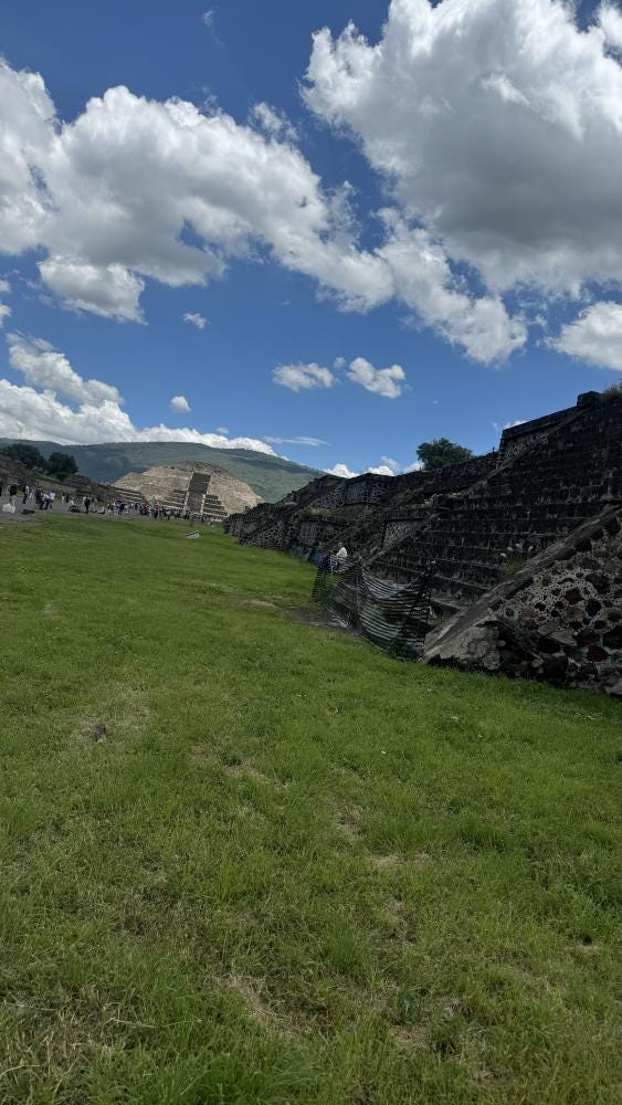 Foto 5 de 5
