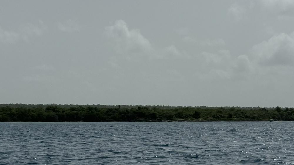 Foto 2 de 4