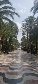 Photo {1} sur {2}