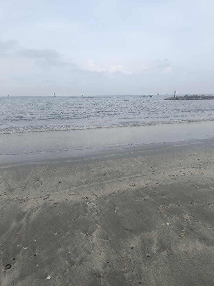 Foto 2 de 6