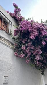 Foto 4 de 9