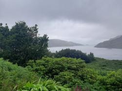 Foto 1 de 2
