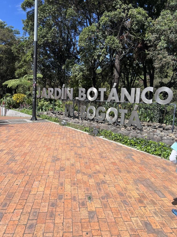 Foto 1 de 3