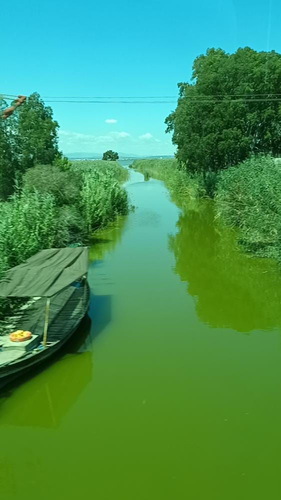 Foto 6 de 6