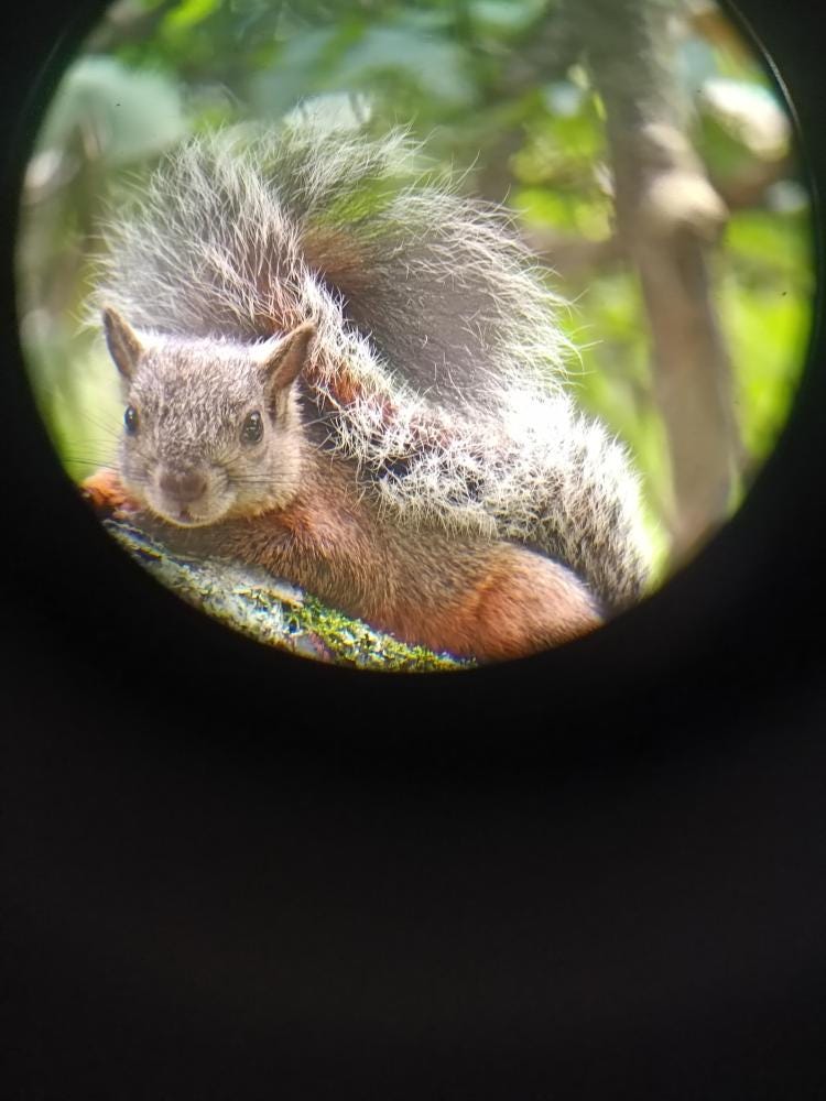 Foto 1 de 3