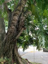 Foto 2 de 3