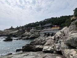 Foto {1} di {2}