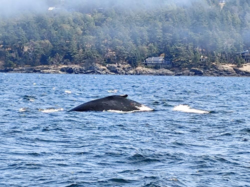 Foto 2 de 4