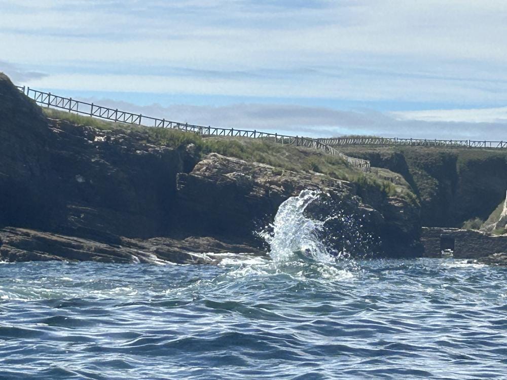Foto 1 de 5