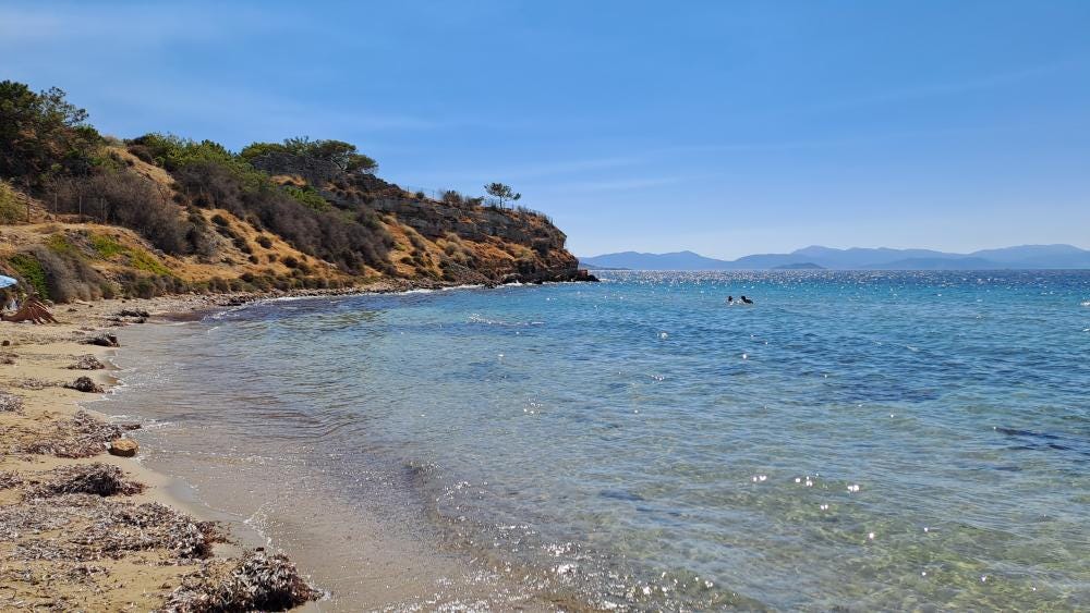 Photo 1 sur 4