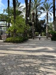 Foto 4 de 4