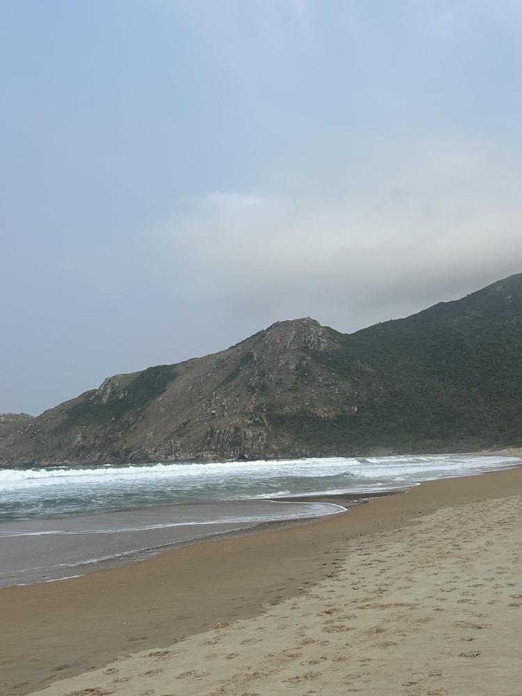 Foto 4 di 5