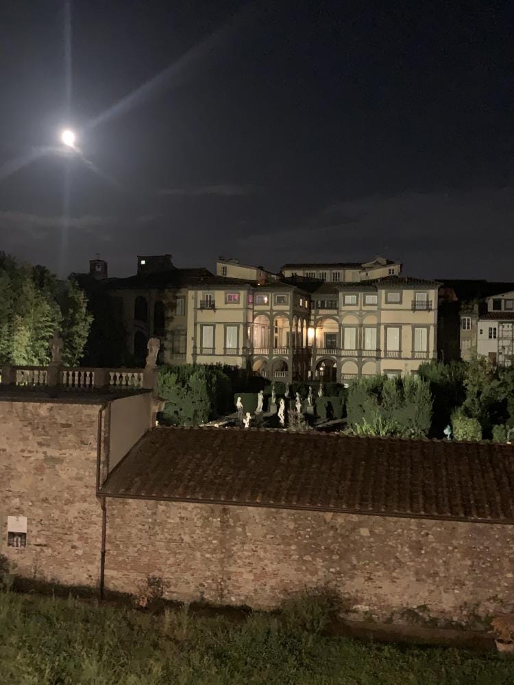 Foto 2 di 5