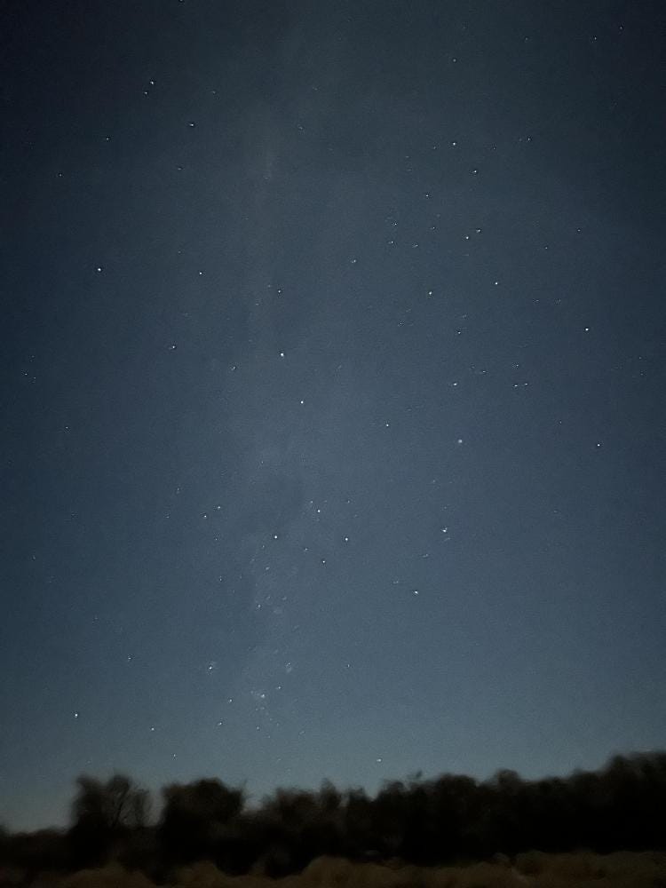Foto 1 di 1
