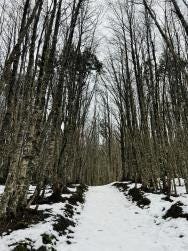 Foto 4 de 4