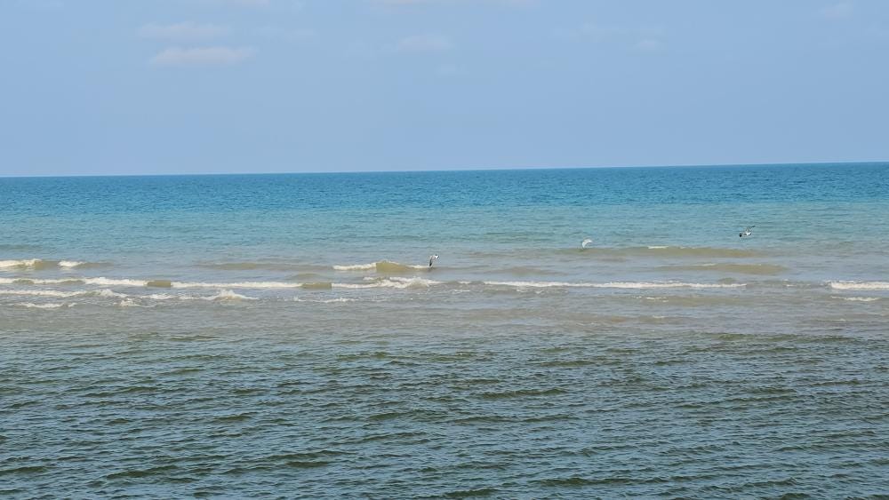 Foto 5 de 7