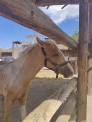 Foto 3 de 3