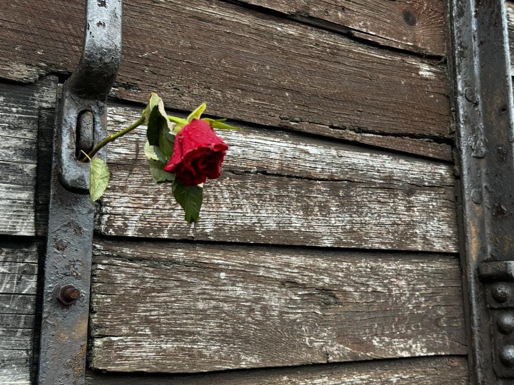 Foto 1 de 1