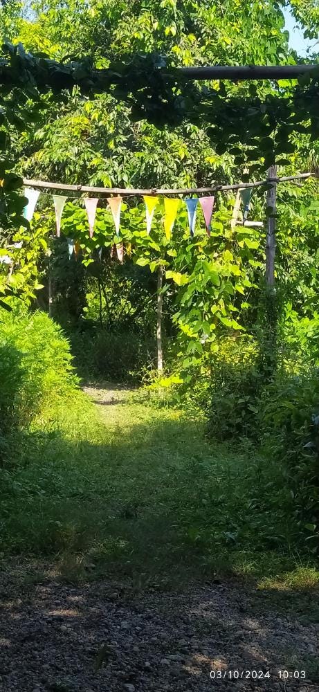 Foto 4 de 4
