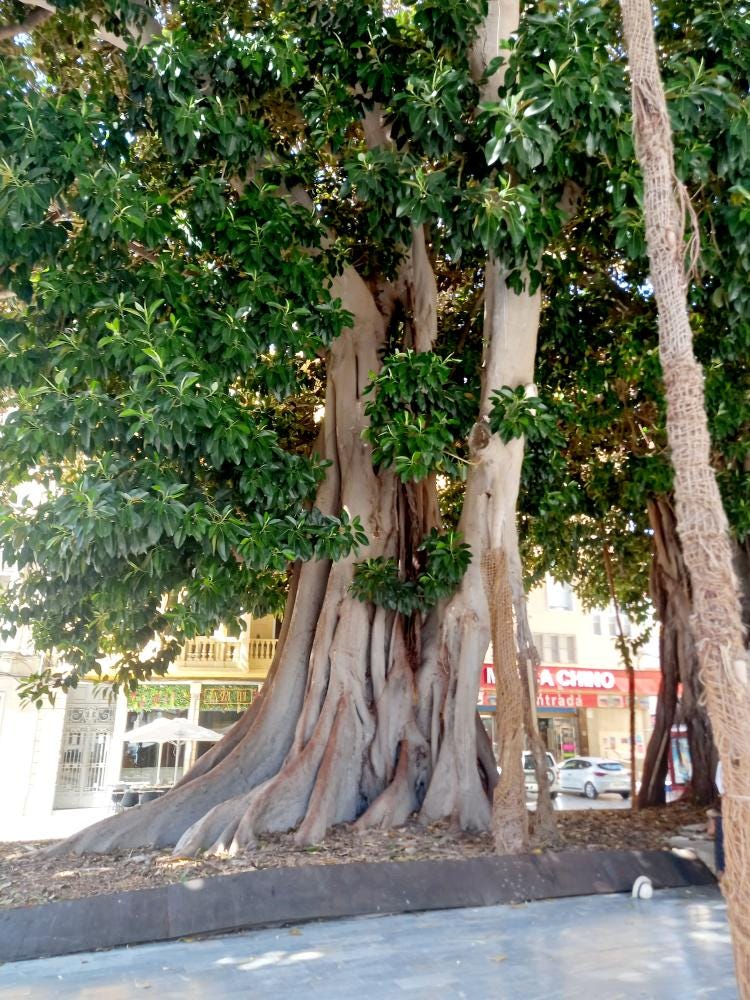Photo 2 from 9