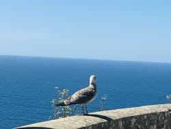 Foto {1} di {2}