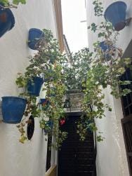 Foto {1} di {2}