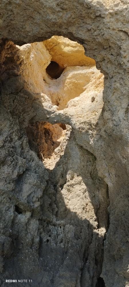 Foto 2 di 5