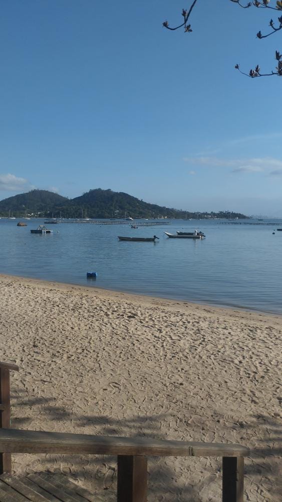 Foto 3 de 10