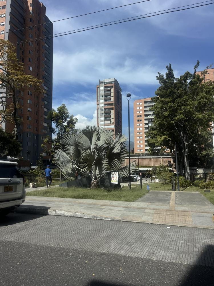 Foto 3 de 3