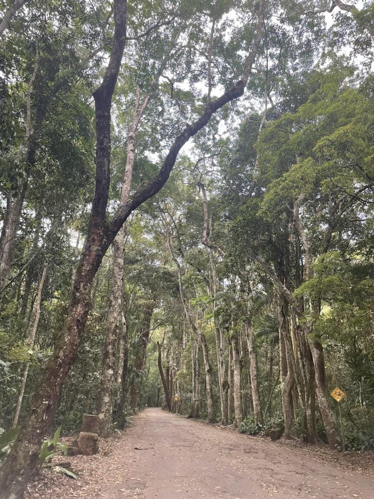 Foto 1 de 3