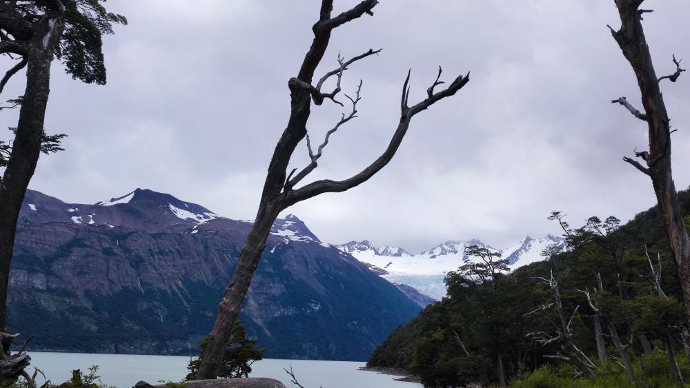 Photo 4 sur 5