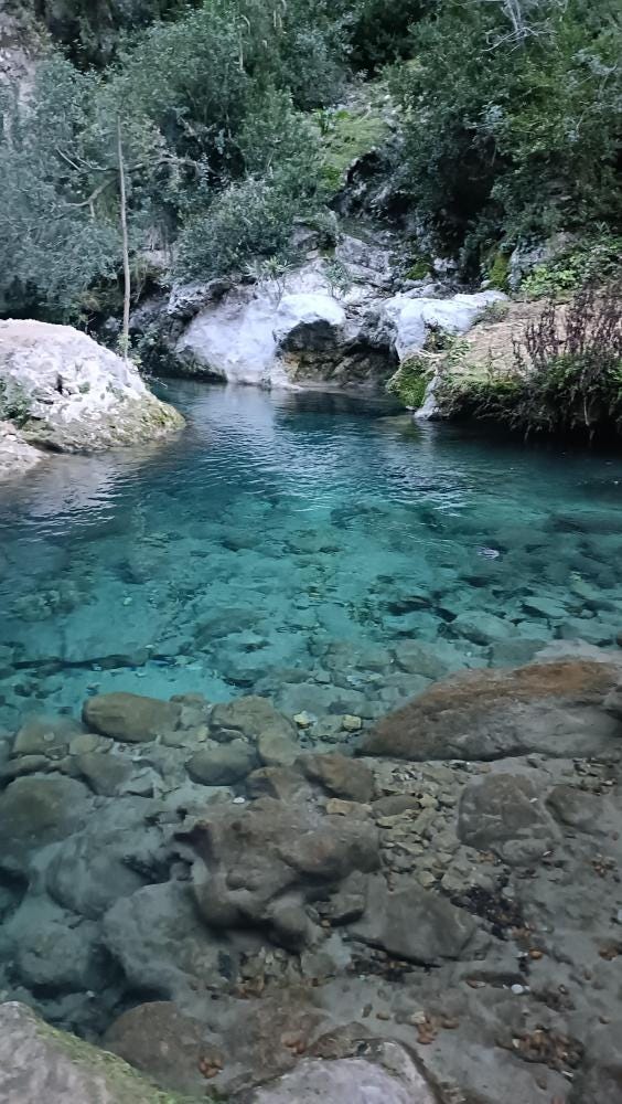 Foto 2 de 4