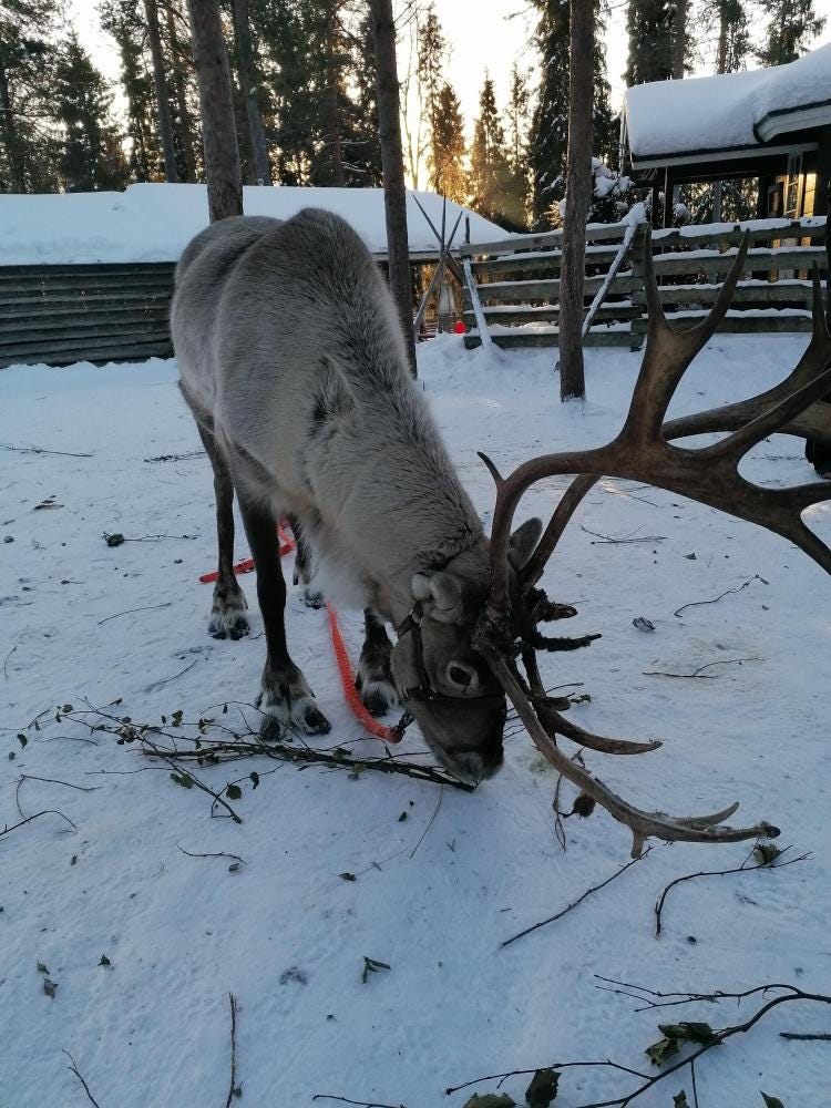 Foto 2 di 4