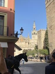 Foto 4 de 4