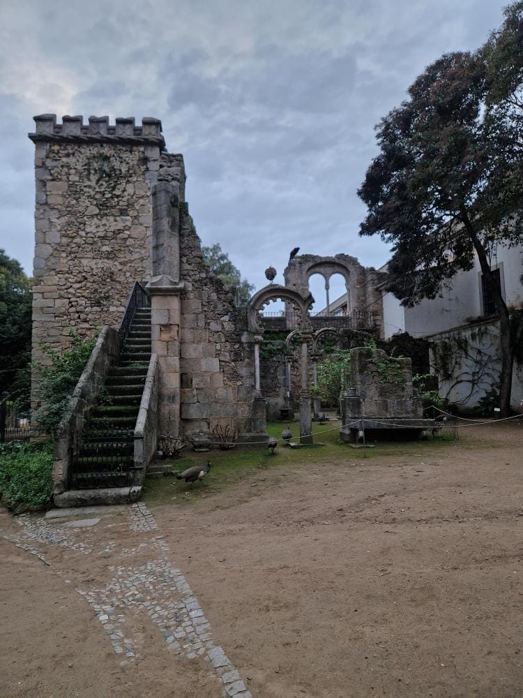 Foto 1 de 3