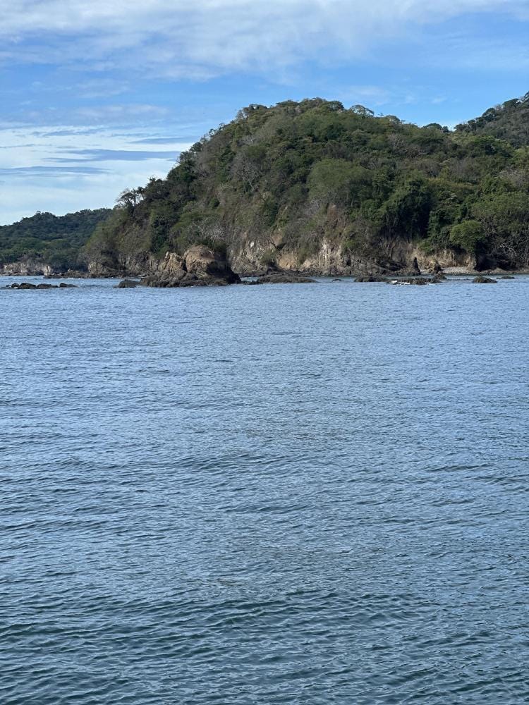 Foto 4 de 4