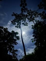 Foto 1 de 1