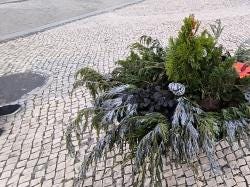 Foto 5 de 10