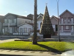 Foto 10 de 10