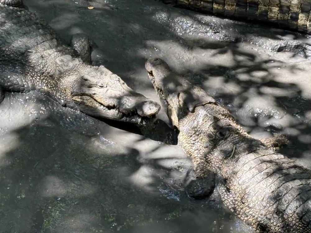 Foto 4 de 5
