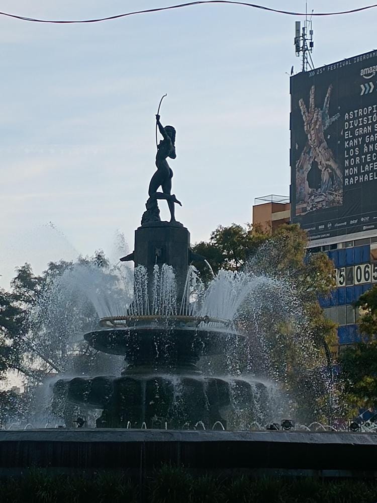 Foto 6 de 6
