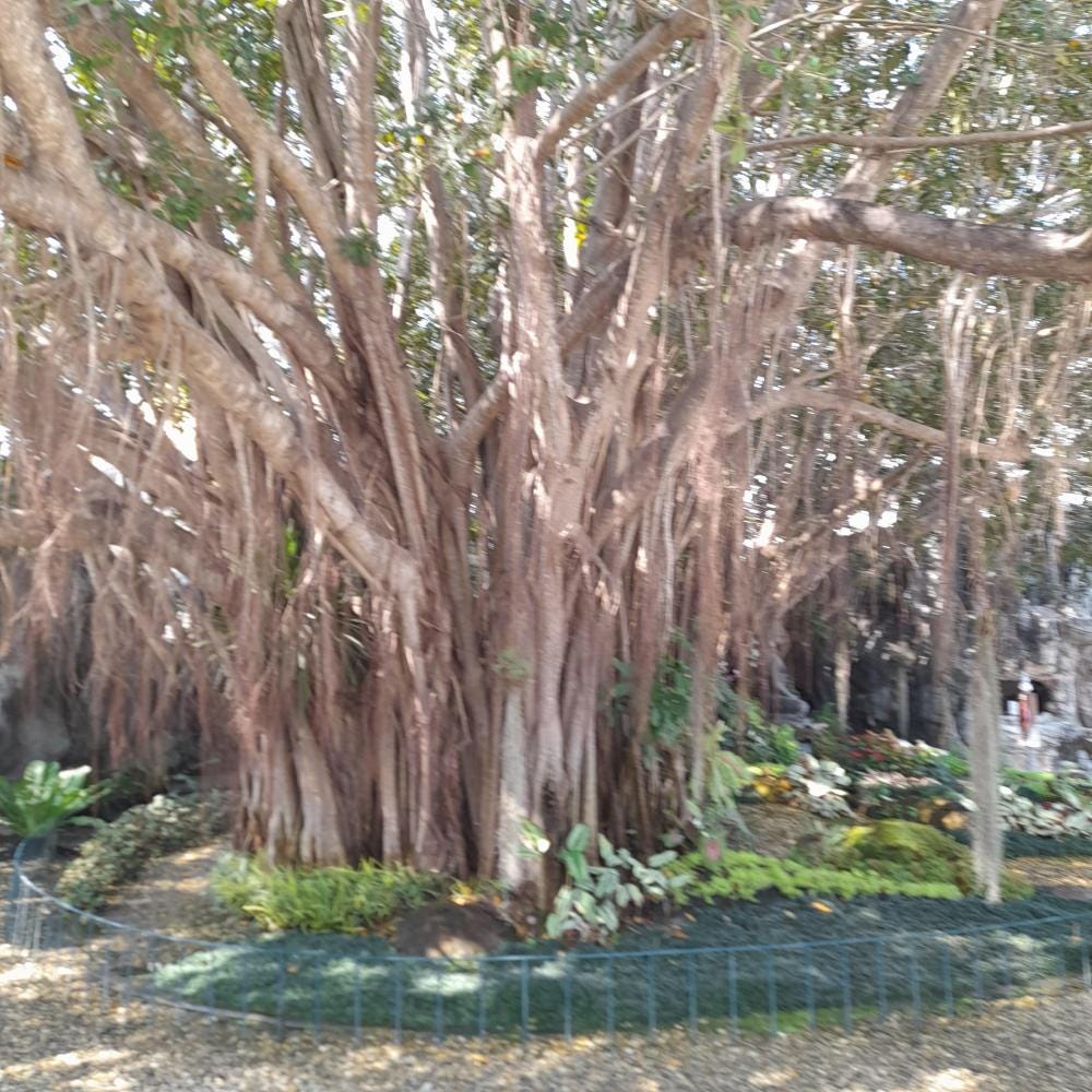 Foto 2 di 5