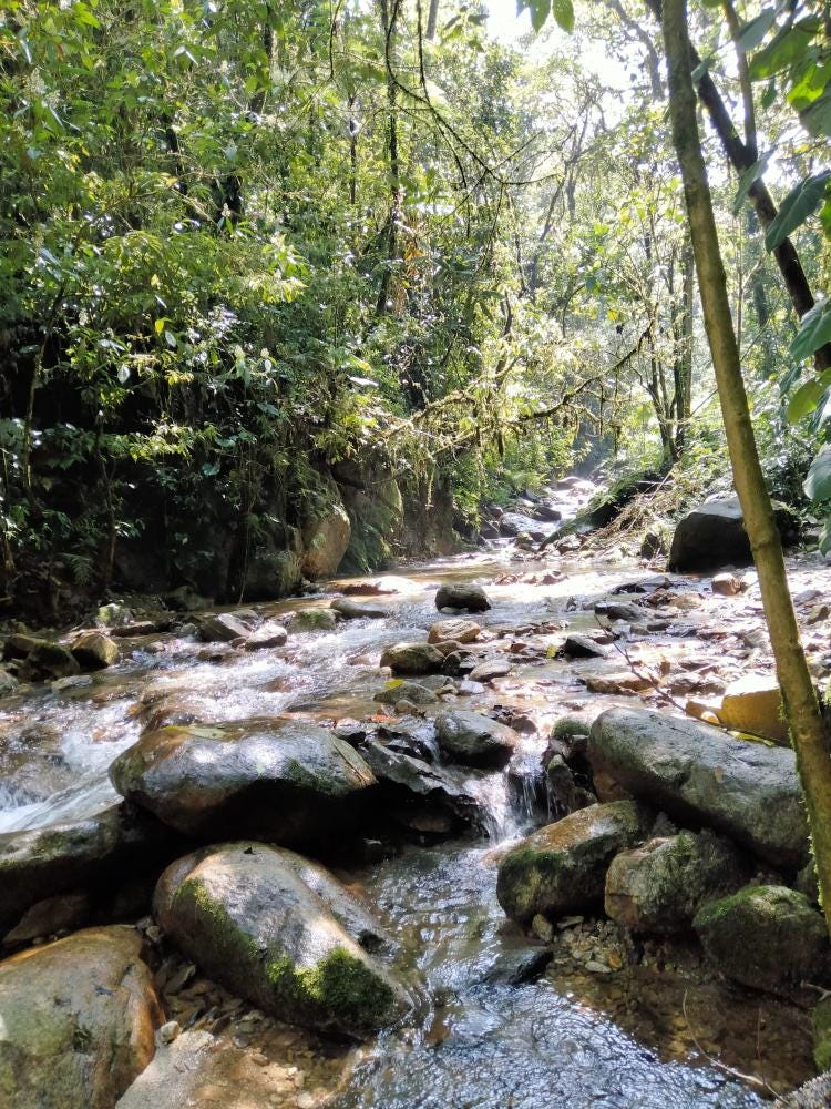 Foto 1 de 3
