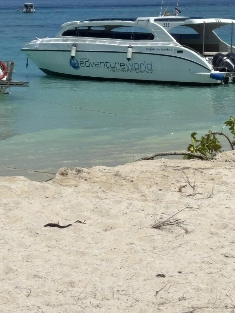 Foto 4 de 4