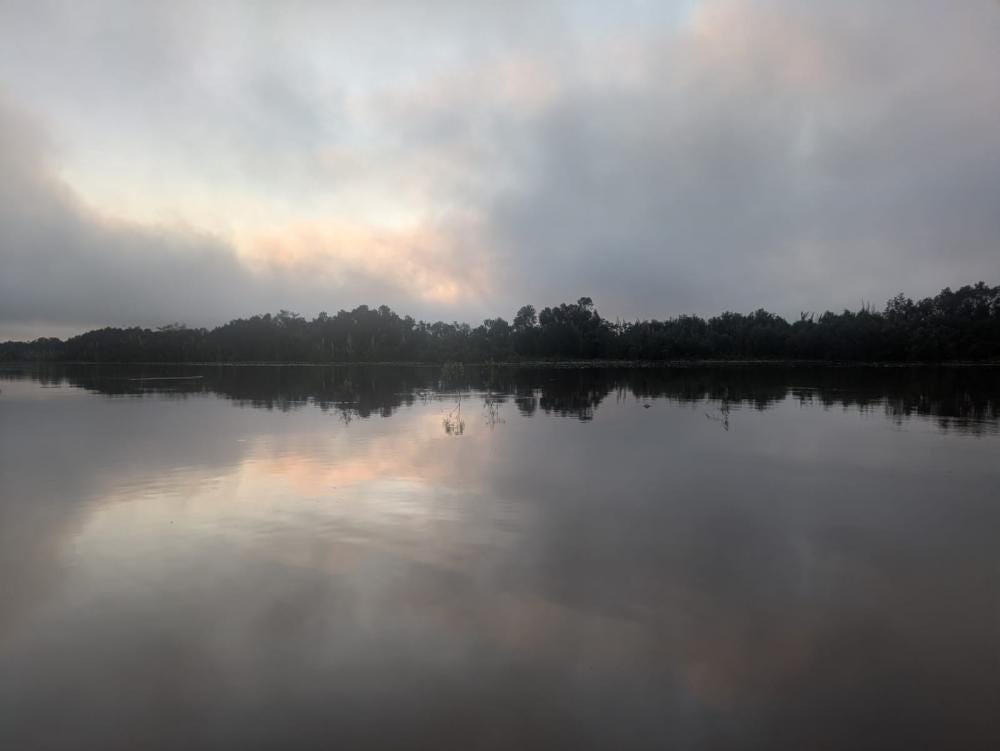 Foto 4 di 7