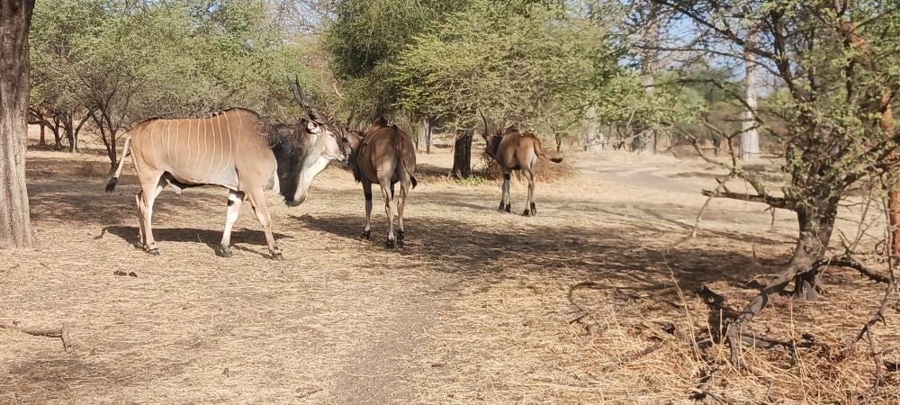 Foto 4 de 4