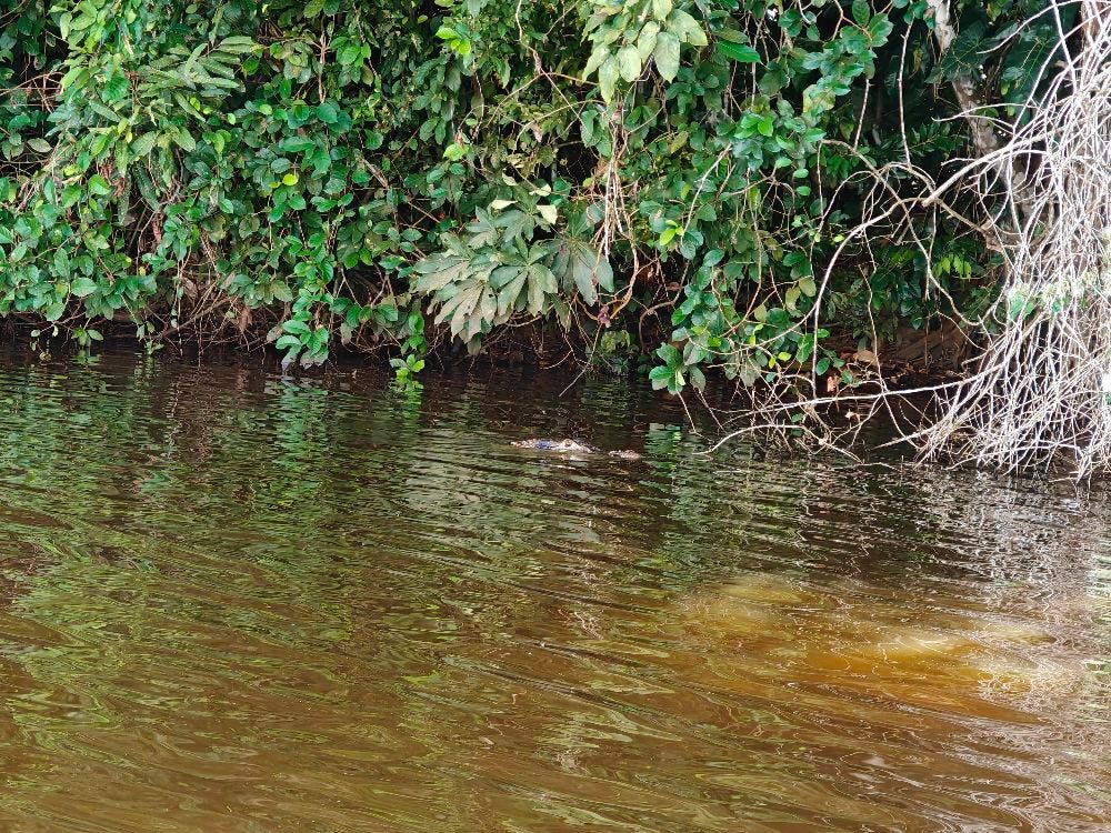 Foto 2 de 5