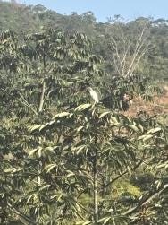 Foto 1 de 2