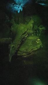 Foto 5 de 7